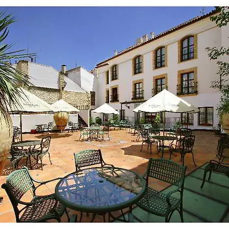 Hotel Rosaleda Don Pedro 4*