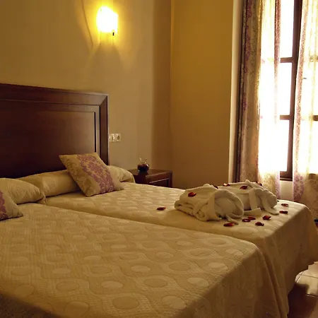 Hotel Rosaleda Don Pedro