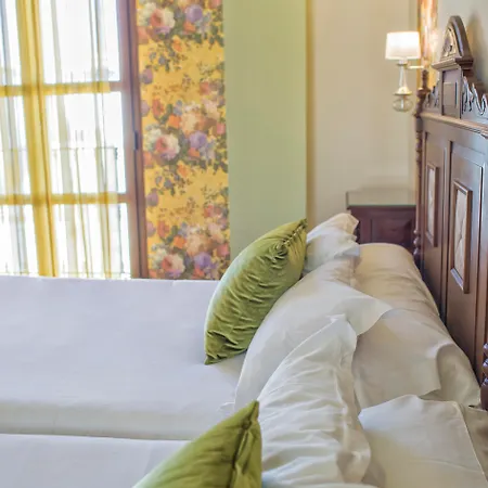 Hotel Rosaleda Don Pedro 4*