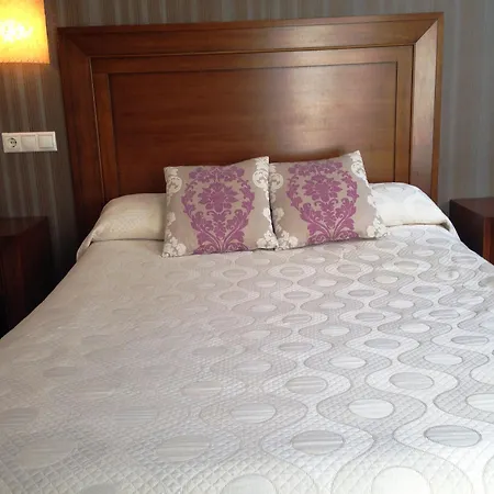 Hotel Rosaleda Don Pedro