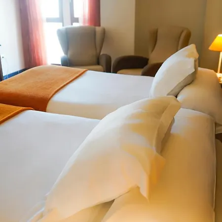 Hotel Rosaleda Don Pedro 4*
