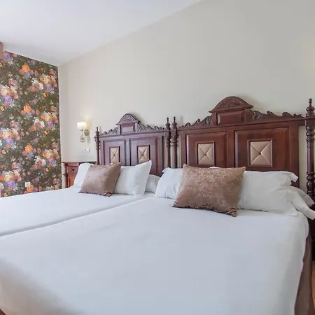 Hotel Rosaleda Don Pedro 4*
